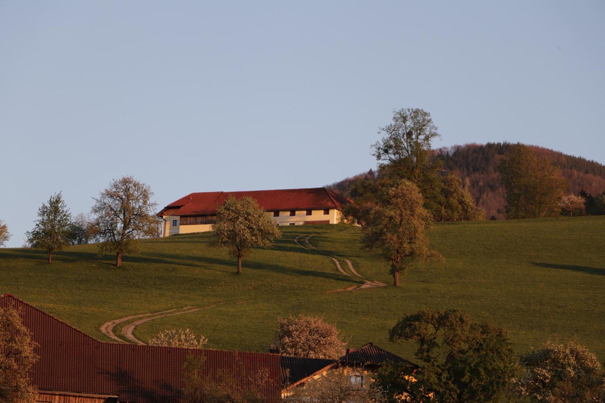 דירות Steinbach an der Steyr Unterbrandlberg מראה חיצוני תמונה